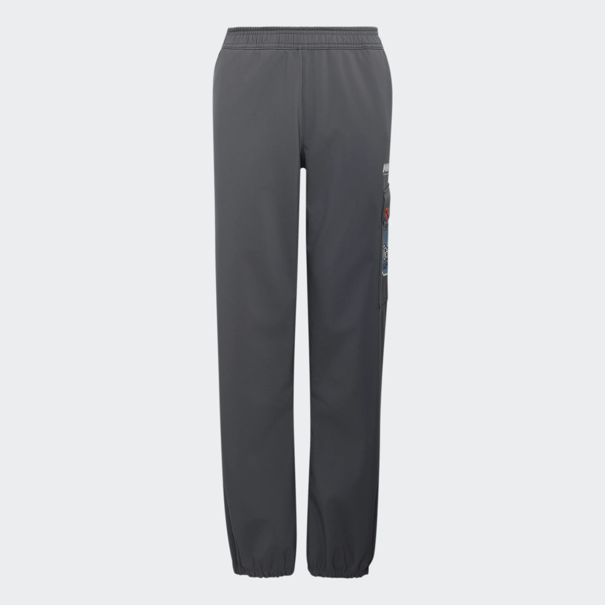 Adidas Minecraft Terrex CLIMAWARM Softshell Pants