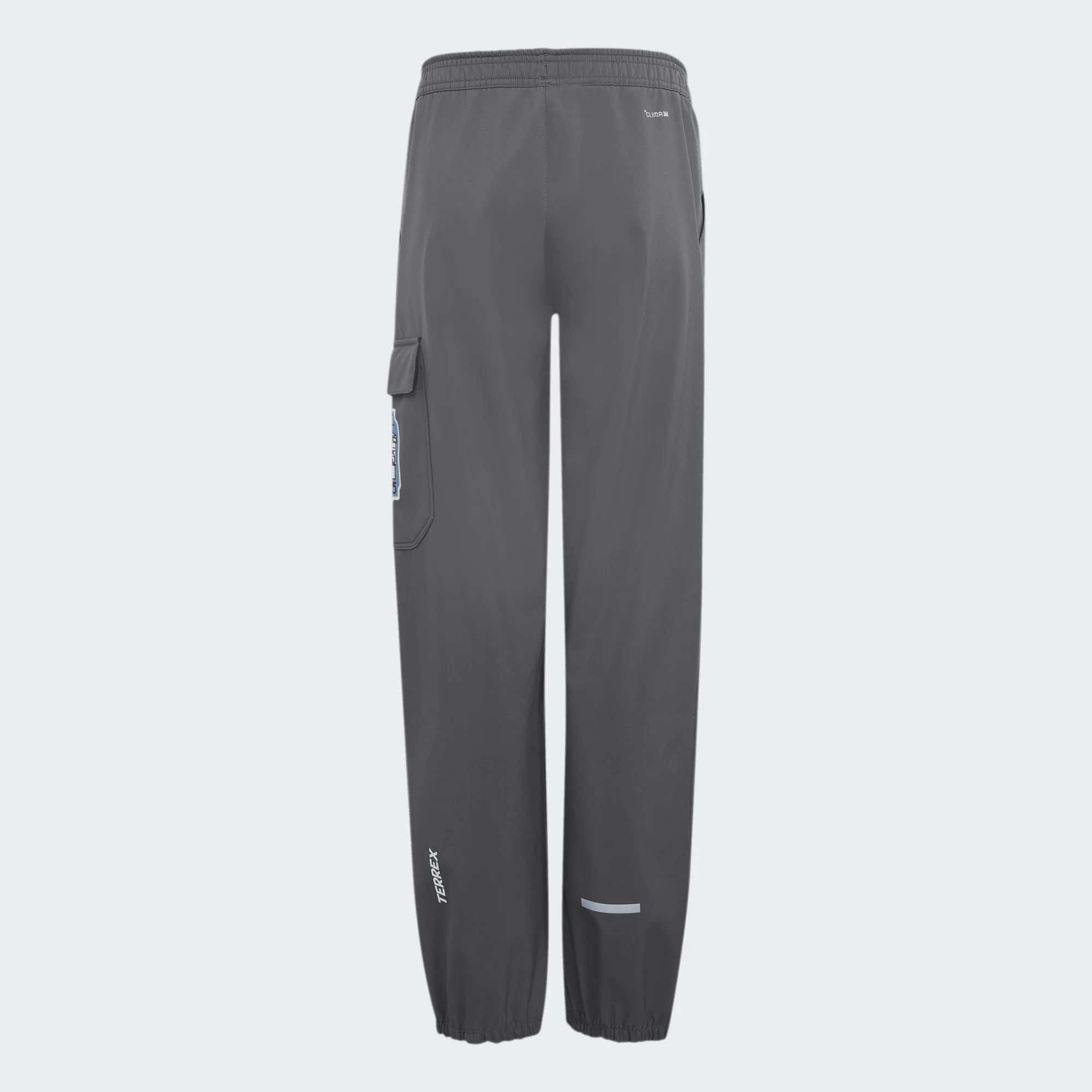 Adidas Minecraft Terrex CLIMAWARM Softshell Pants