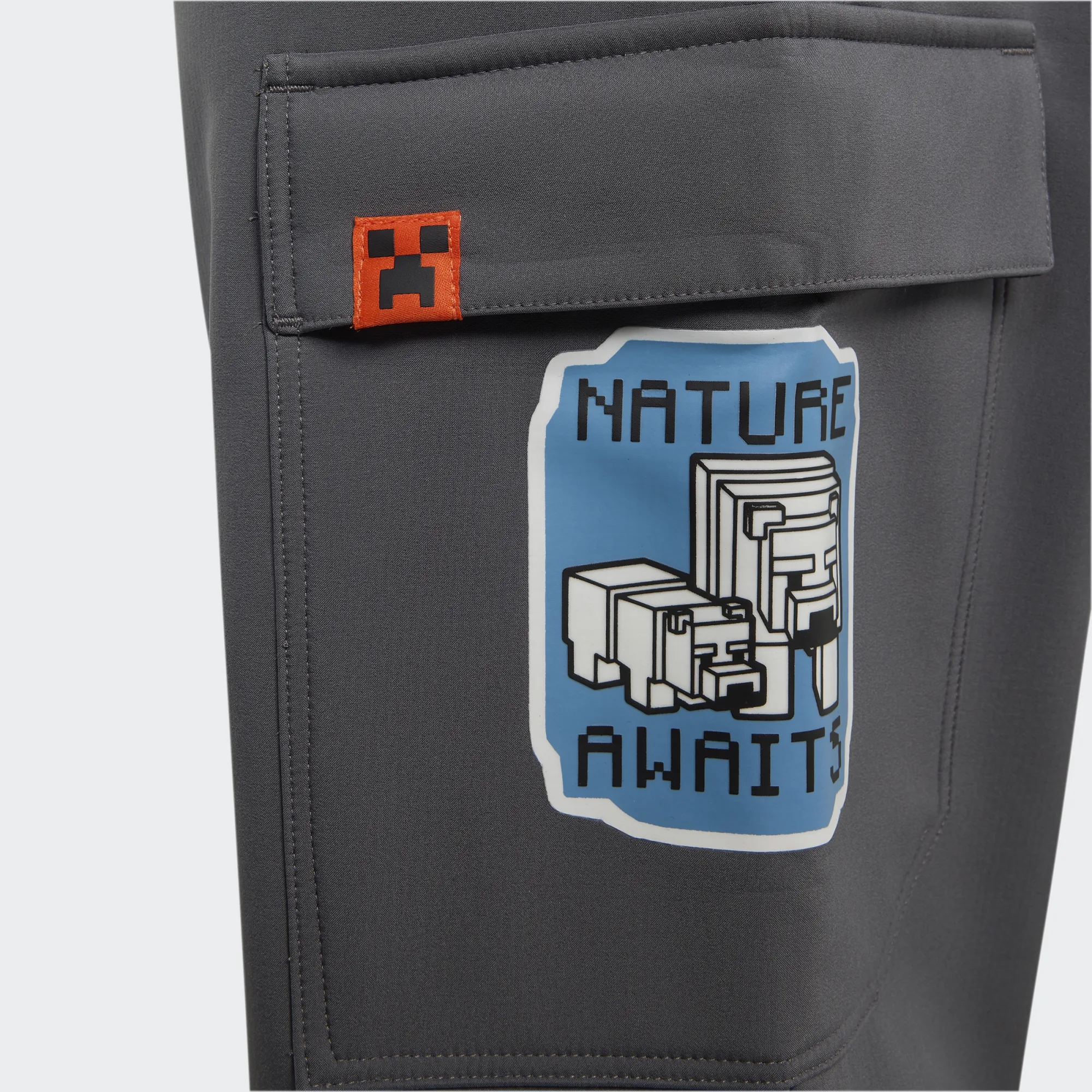 Adidas Minecraft Terrex CLIMAWARM Softshell Pants