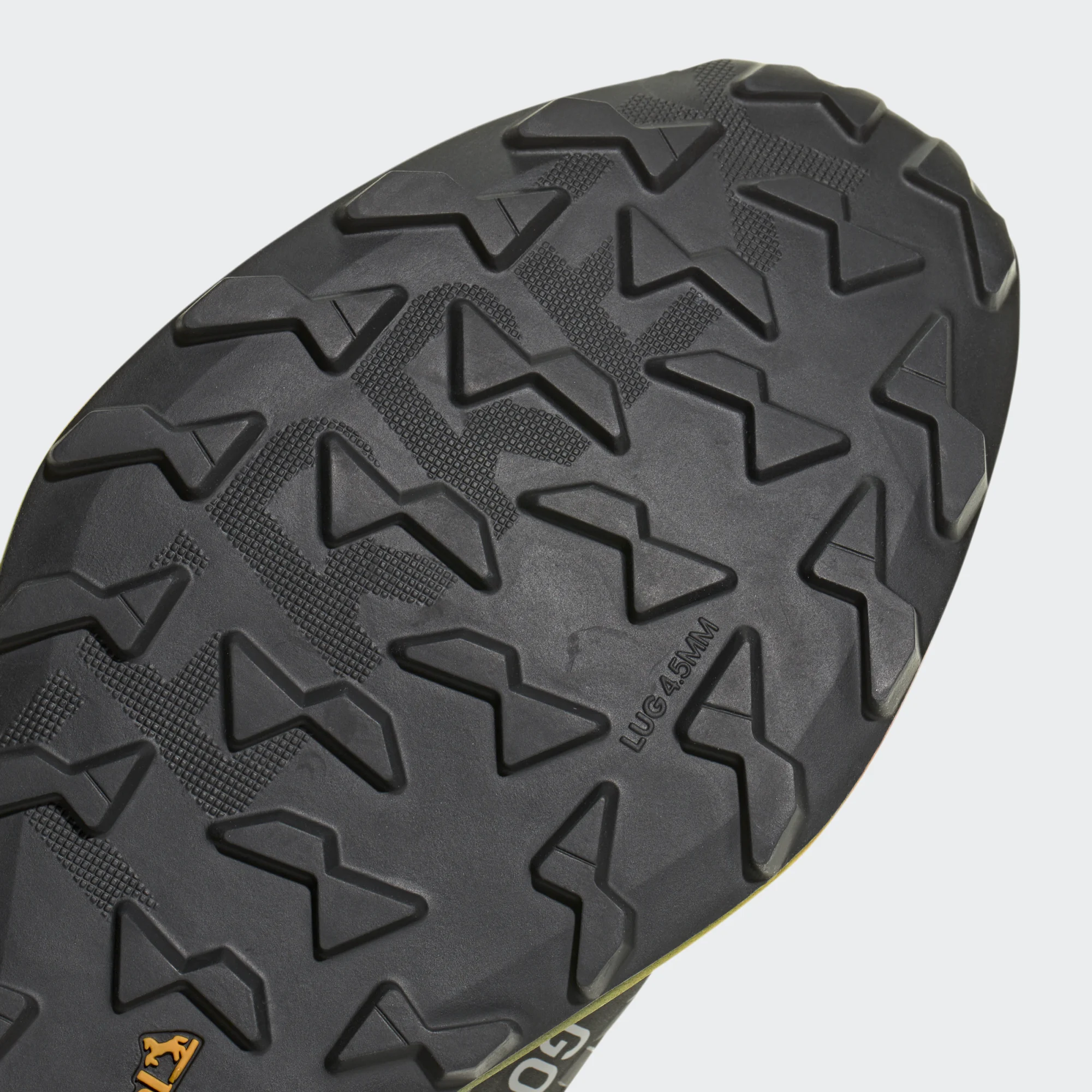 Terrex Agravic GTX 2 Trail Running Shoes