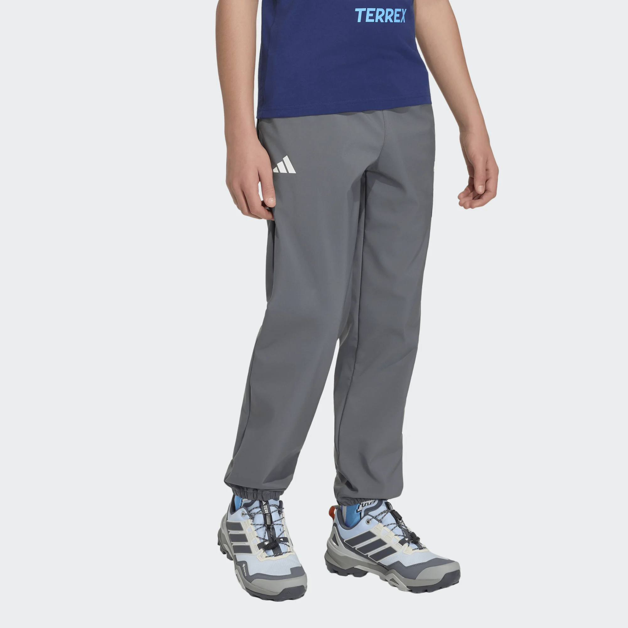 Adidas Minecraft Terrex CLIMAWARM Softshell Pants