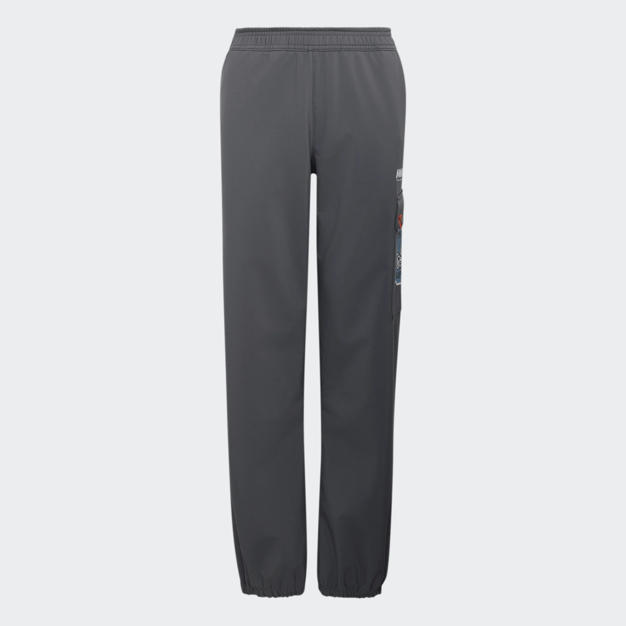Adidas Minecraft Terrex CLIMAWARM Softshell Pants