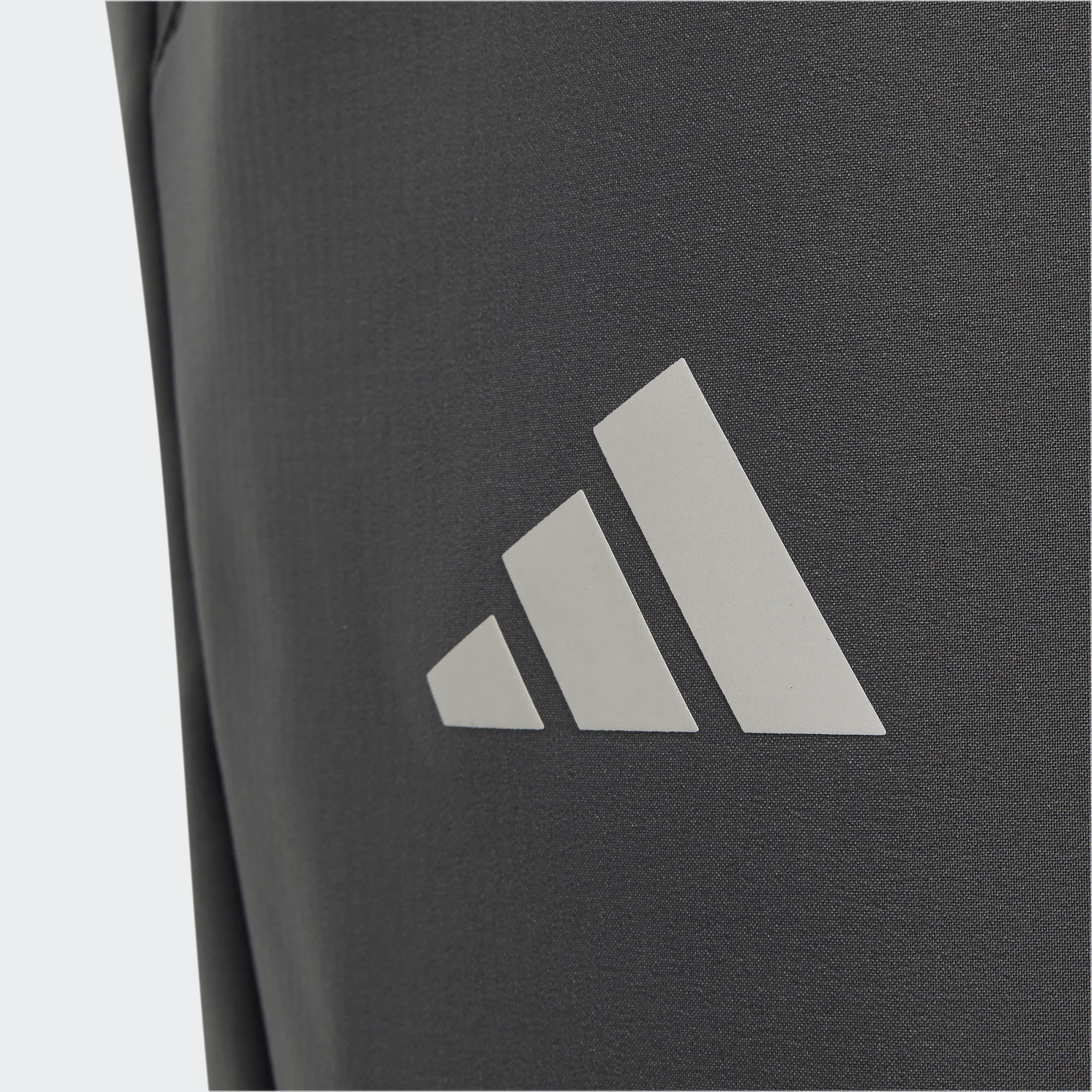 Adidas Minecraft Terrex CLIMAWARM Softshell Pants