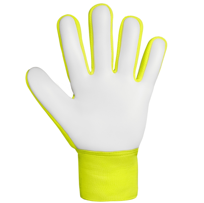 Reusch Attrakt Starter Solid Junior
